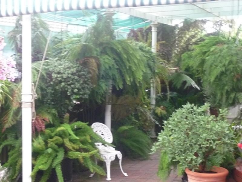 7 Sans Souci Drive, Wodonga VIC 3690