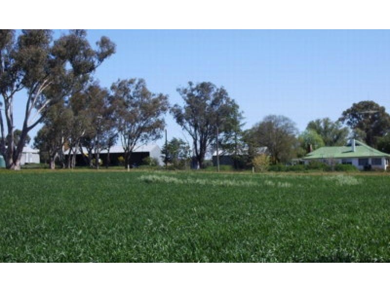 Mangoplah NSW 2652