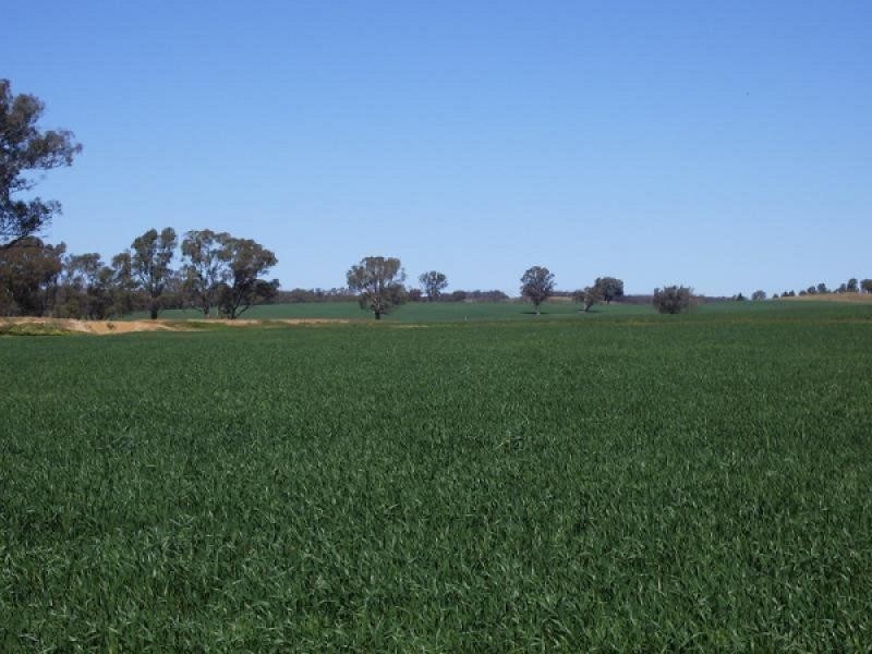 Mangoplah NSW 2652