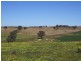 Mangoplah NSW 2652