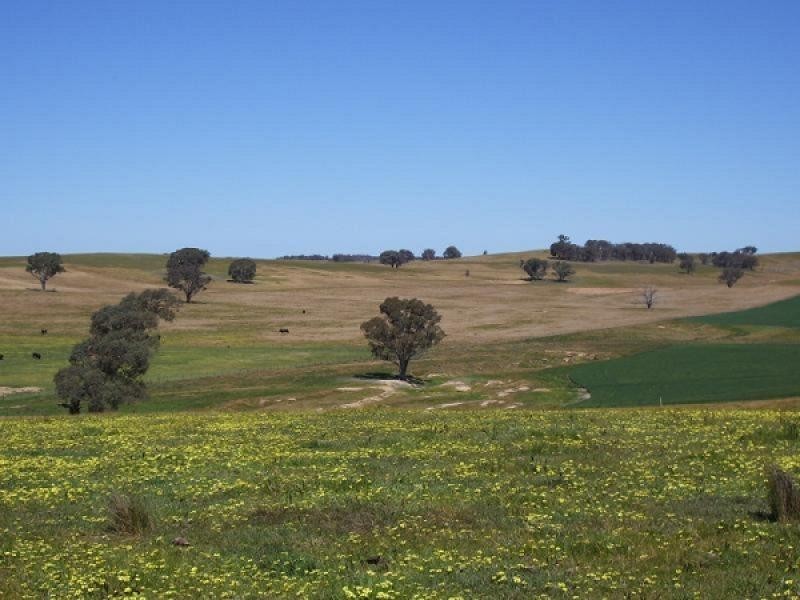 Mangoplah NSW 2652