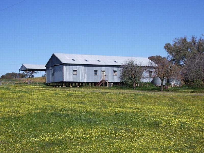 Mangoplah NSW 2652