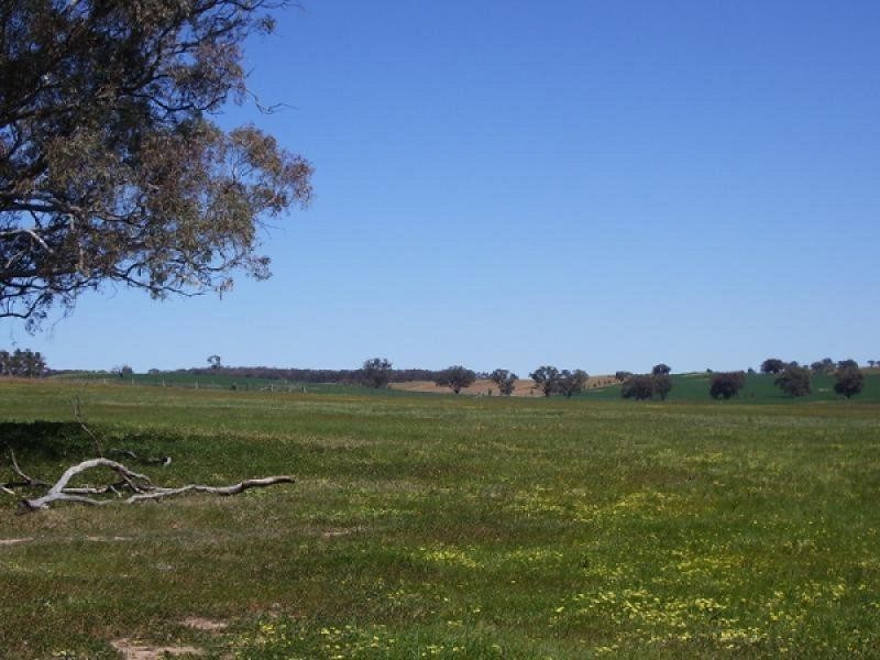 Mangoplah NSW 2652