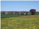 Mangoplah NSW 2652