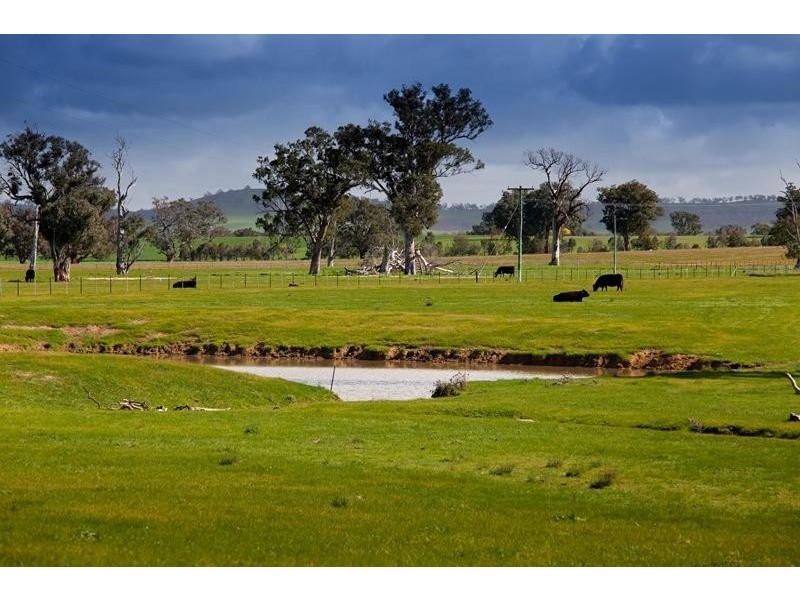 243 Fielder-Moll Road, Gerogery NSW 2642