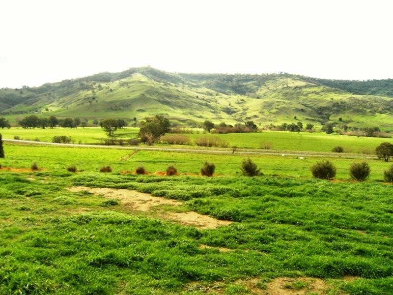 9696 Murray River Road, Walwa VIC 3709