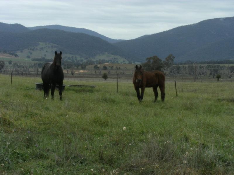 Talmalmo NSW 2640