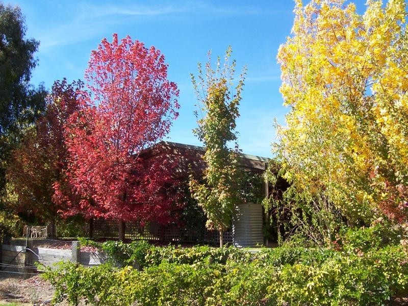 141 BESLEY LANE, Kergunyah VIC 3691