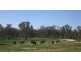 GOORAMADDA ROAD, Rutherglen VIC 3685