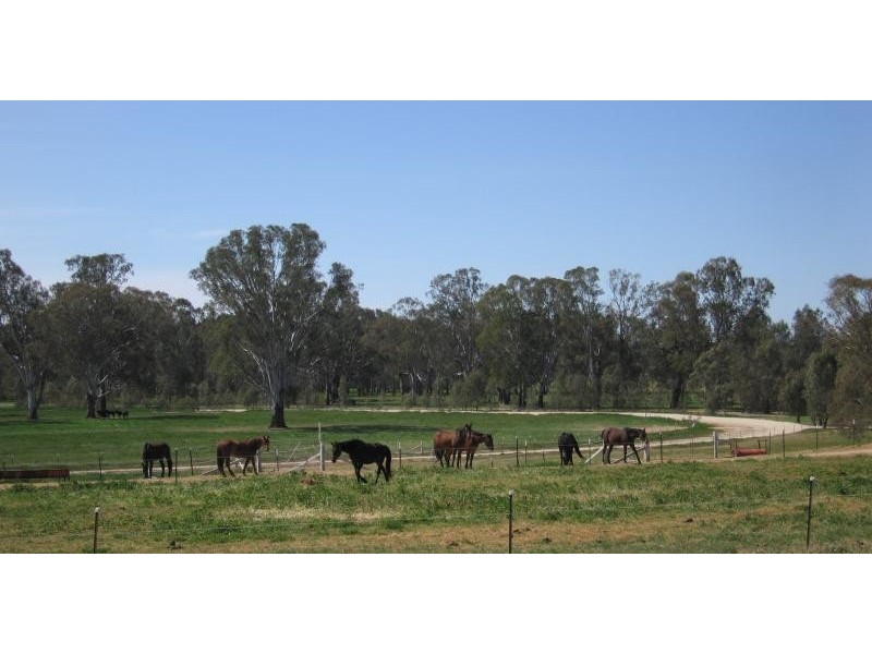 GOORAMADDA ROAD, Rutherglen VIC 3685