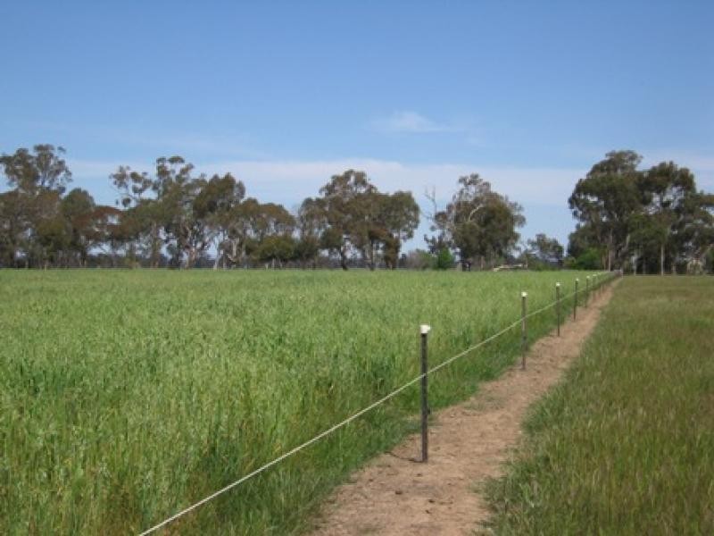 GOORAMADDA ROAD, Rutherglen VIC 3685