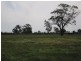 GOORAMADDA ROAD, Rutherglen VIC 3685