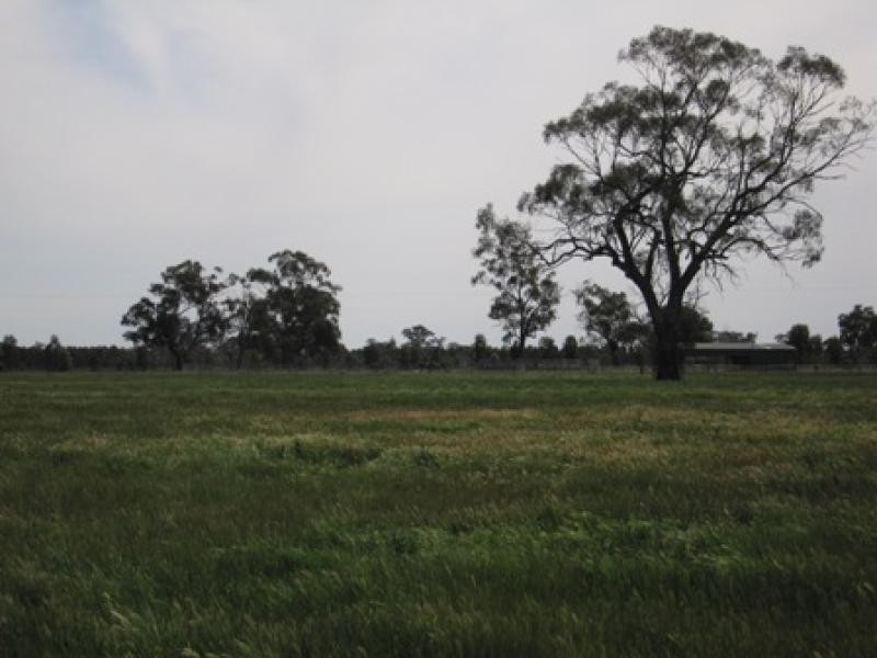GOORAMADDA ROAD, Rutherglen VIC 3685
