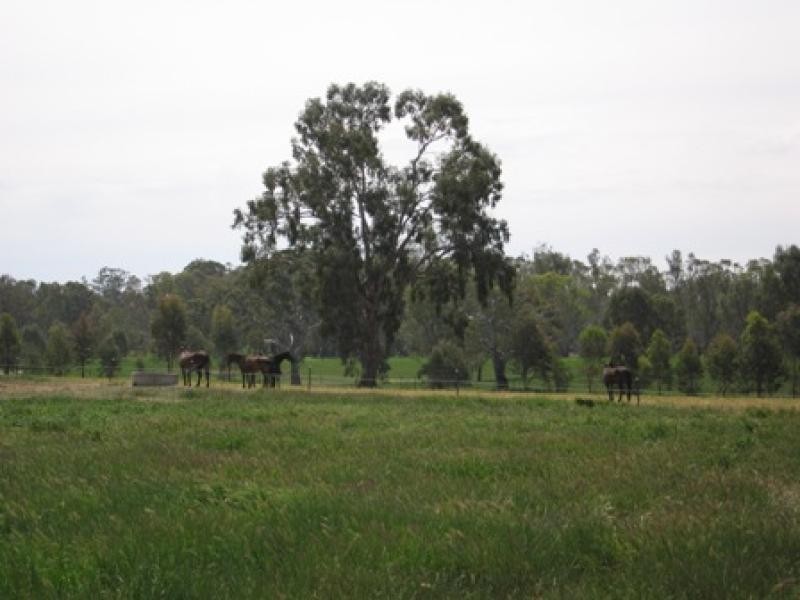 GOORAMADDA ROAD, Rutherglen VIC 3685