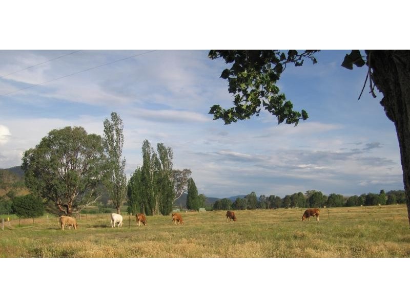 HONEYSUCKLE ROAD, Tallangatta VIC 3700