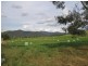 HONEYSUCKLE ROAD, Tallangatta VIC 3700