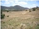 Jingellic NSW 2642