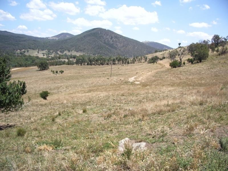 Jingellic NSW 2642
