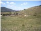 Jingellic NSW 2642