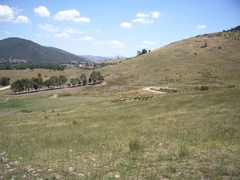Jingellic NSW 2642