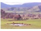 Tallangatta VIC 3700