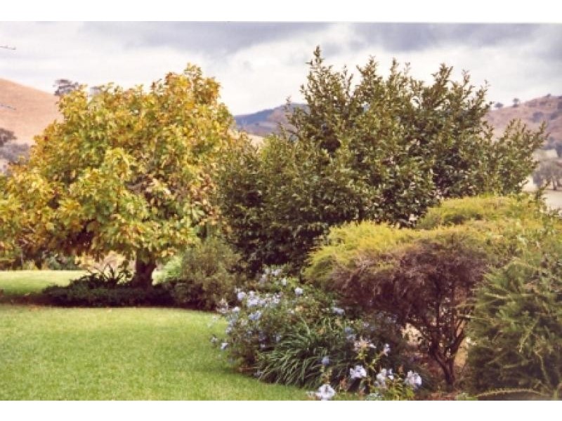 4016 Murray River Road, Talgarno via, Wodonga VIC 3690