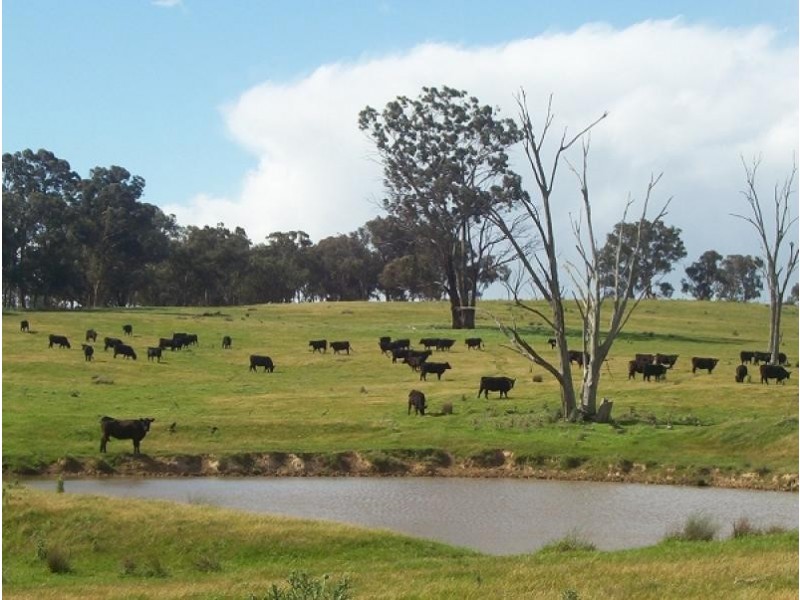 Chiltern Valley VIC 3683
