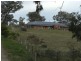 36 Alexandra Way, Table Top NSW 2640