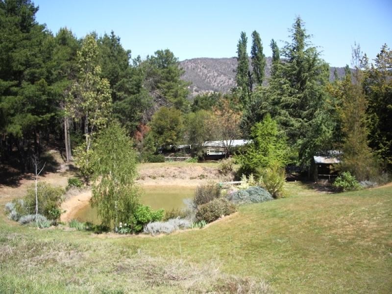 88 Holbrook-Jingellic Road, Jingellic NSW 2642