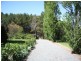 88 Holbrook-Jingellic Road, Jingellic NSW 2642