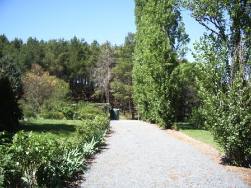 88 Holbrook-Jingellic Road, Jingellic NSW 2642