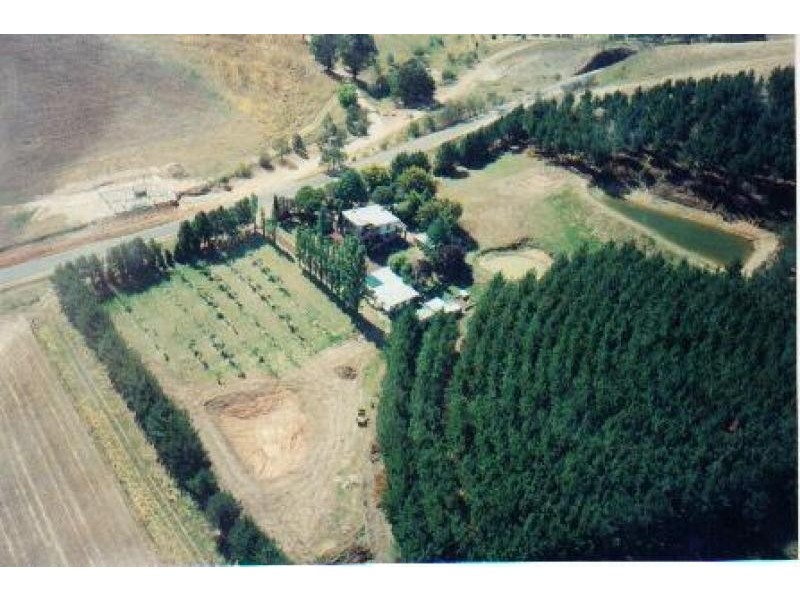 88 Holbrook-Jingellic Road, Jingellic NSW 2642