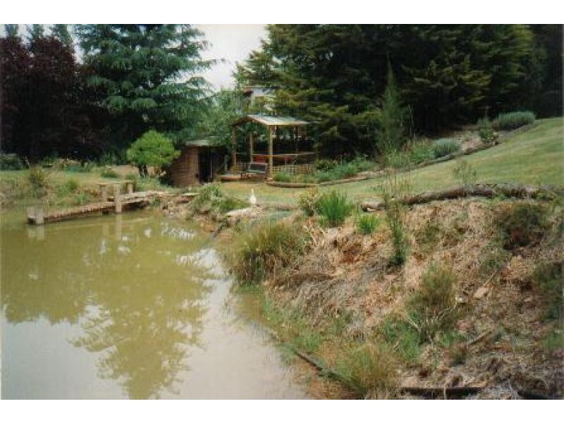 88 Holbrook-Jingellic Road, Jingellic NSW 2642
