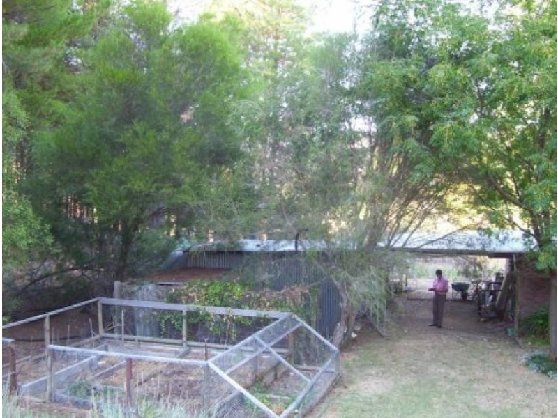 88 Holbrook-Jingellic Road, Jingellic NSW 2642