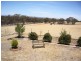 207 Parkins Road, Rutherglen VIC 3685