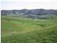 Jingellic NSW 2642