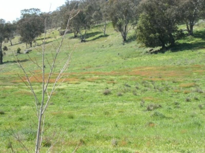 9696 Murray River Road, Walwa VIC 3709