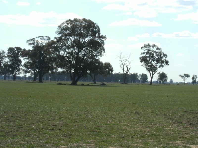 Corowa NSW 2646