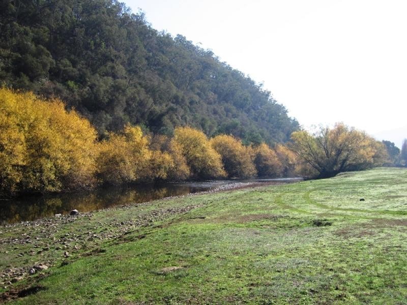 Mitta Mitta VIC 3701