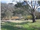 Mitta Mitta VIC 3701