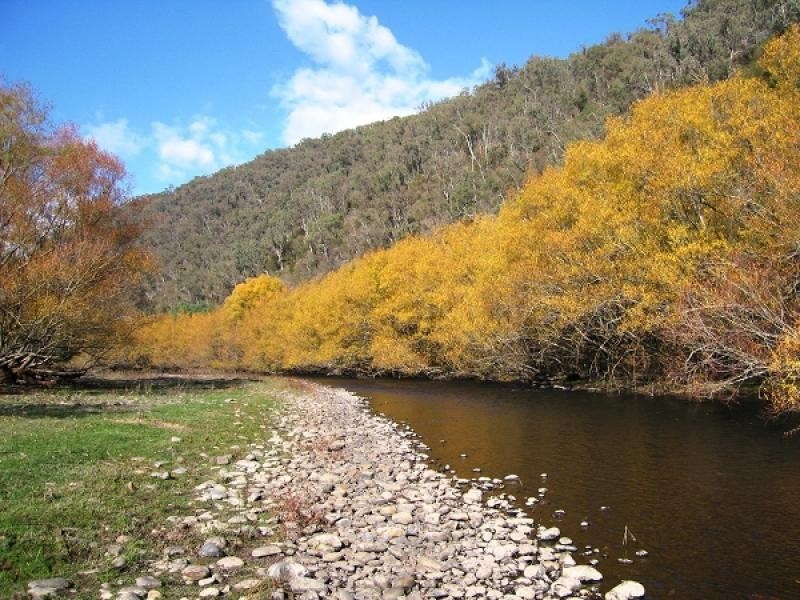 Mitta Mitta VIC 3701