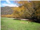 Mitta Mitta VIC 3701