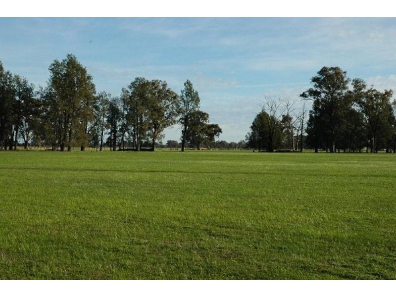 459 Bullers Road, Rutherglen VIC 3685