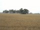 459 Bullers Road, Rutherglen VIC 3685
