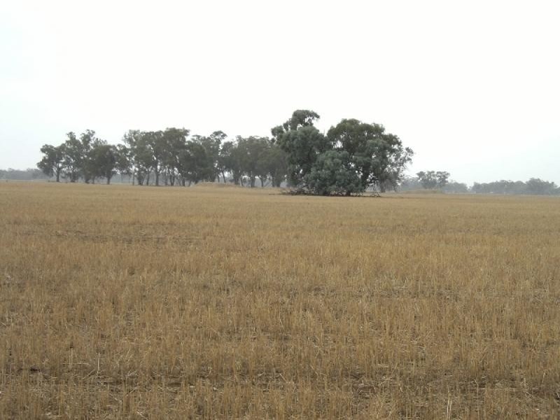 459 Bullers Road, Rutherglen VIC 3685
