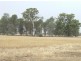 459 Bullers Road, Rutherglen VIC 3685