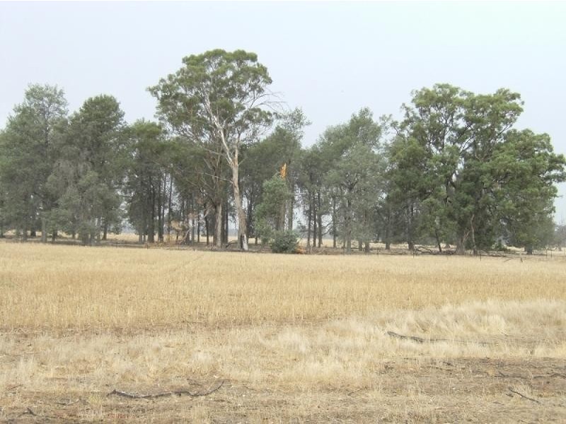 459 Bullers Road, Rutherglen VIC 3685