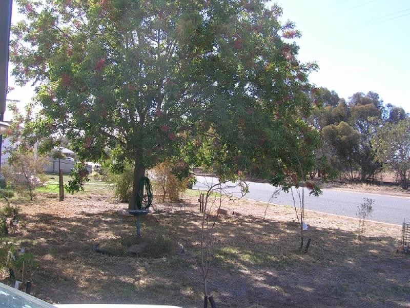 26 Belah Street, Rand NSW 2642