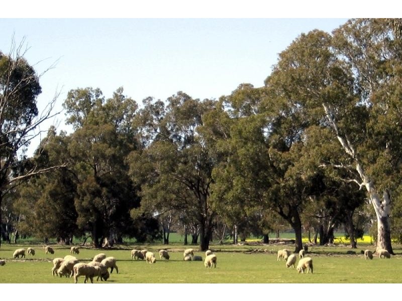 Peechelba East VIC 3678