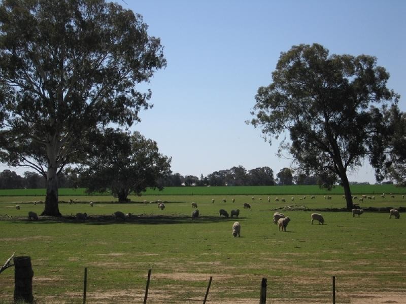 Peechelba East VIC 3678